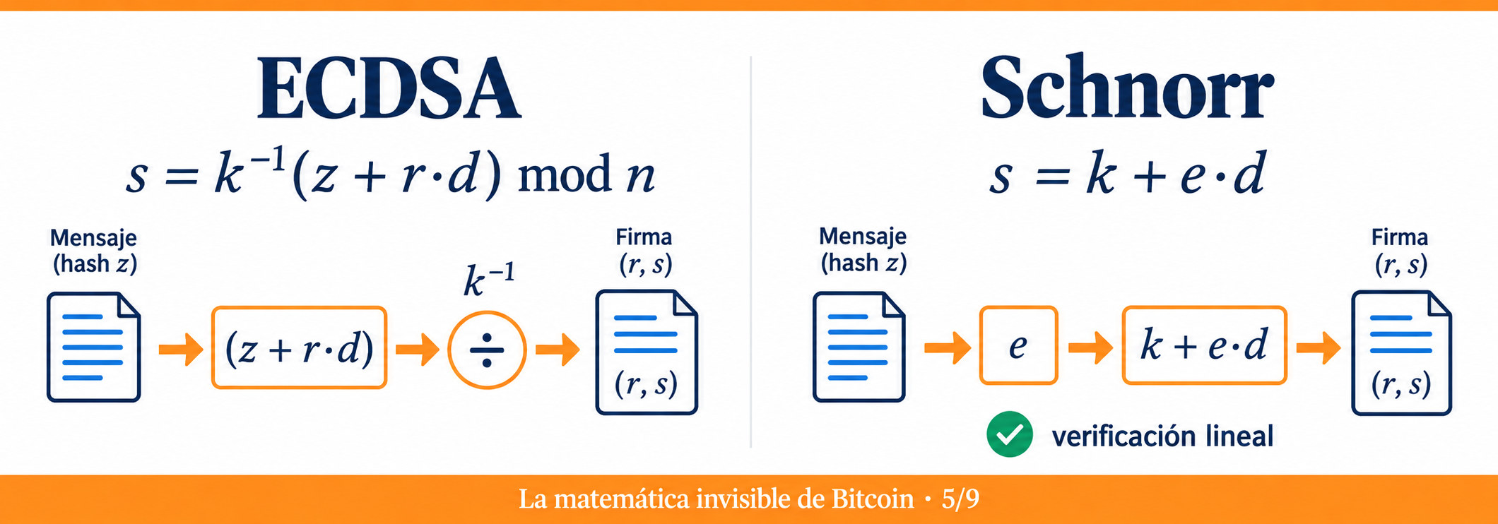 Comparativa entre firmas ECDSA y Schnorr en Bitcoin